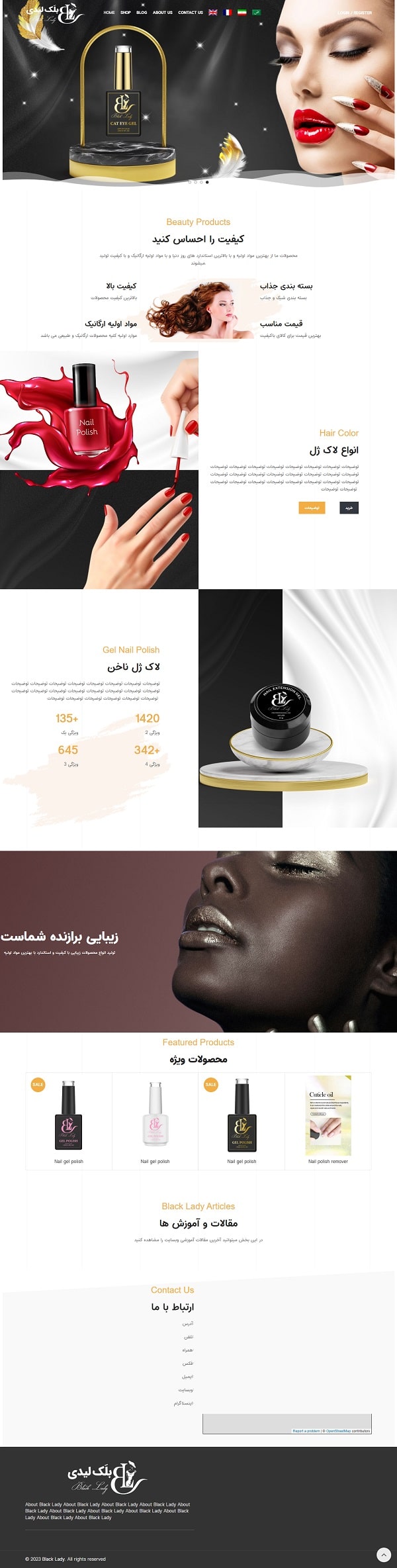 نمونه کار طراحی سایت بلک لیدی