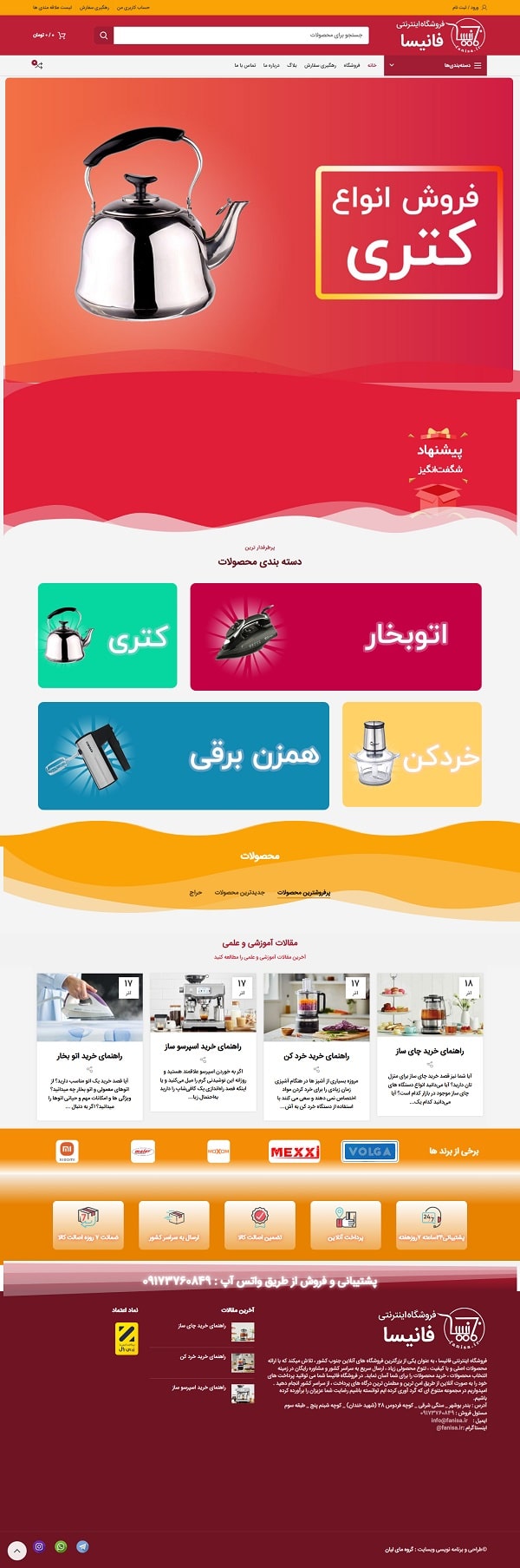 نمونه کار طراحی سایت فانیسا