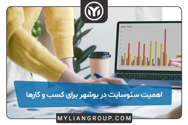 اهیمت سئو سایت برای کسب و کارهای بوشهری